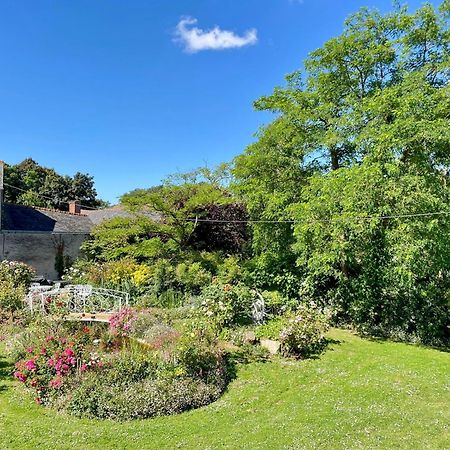 Chambre De Charme Dans Un Jardin De 1500M2 Nueil-sur-Layon Exteriör bild