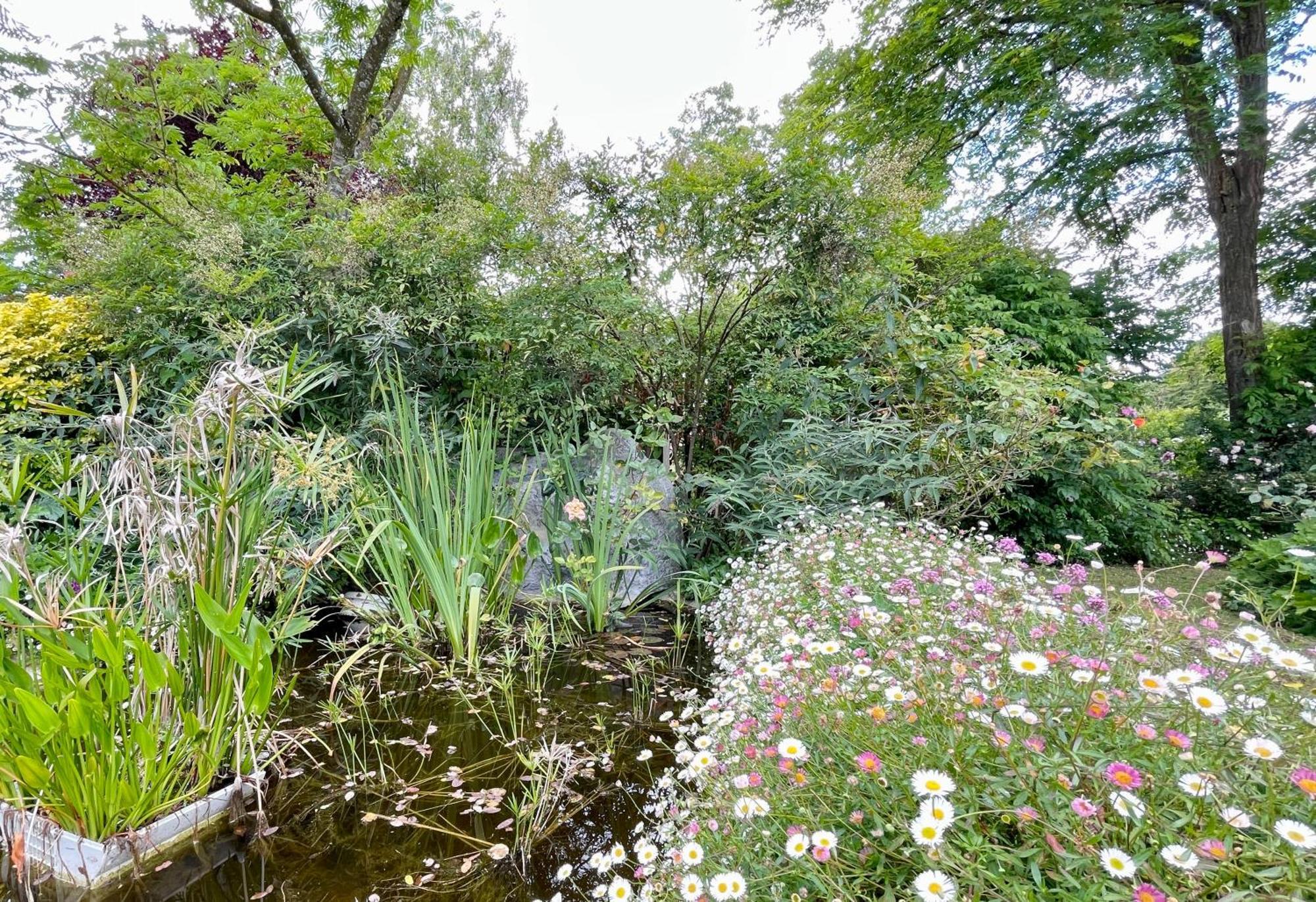Chambre De Charme Dans Un Jardin De 1500M2 Nueil-sur-Layon Exteriör bild